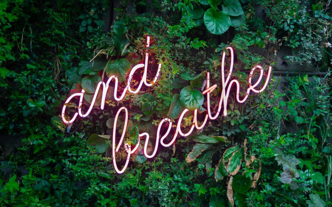 Mental Health Awareness Month: Healing Through Connection, Safety, and Support